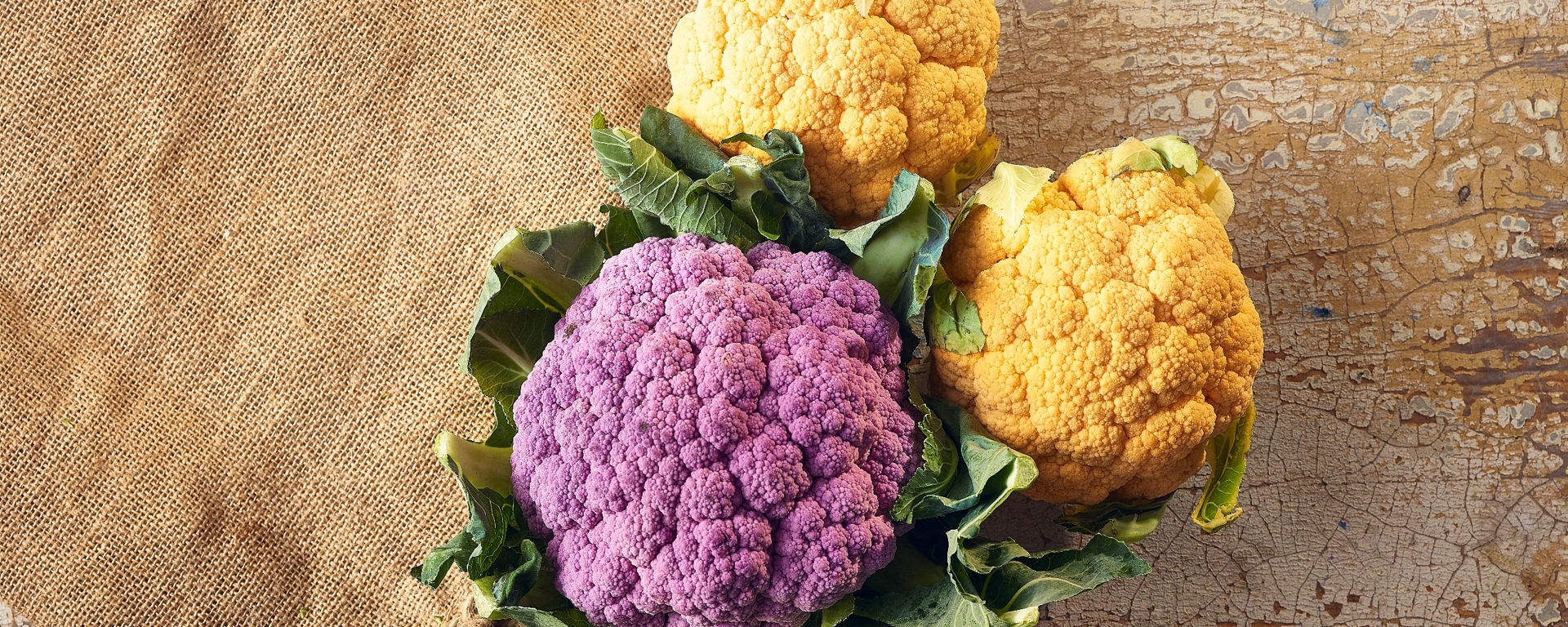 Cauliflower 2X