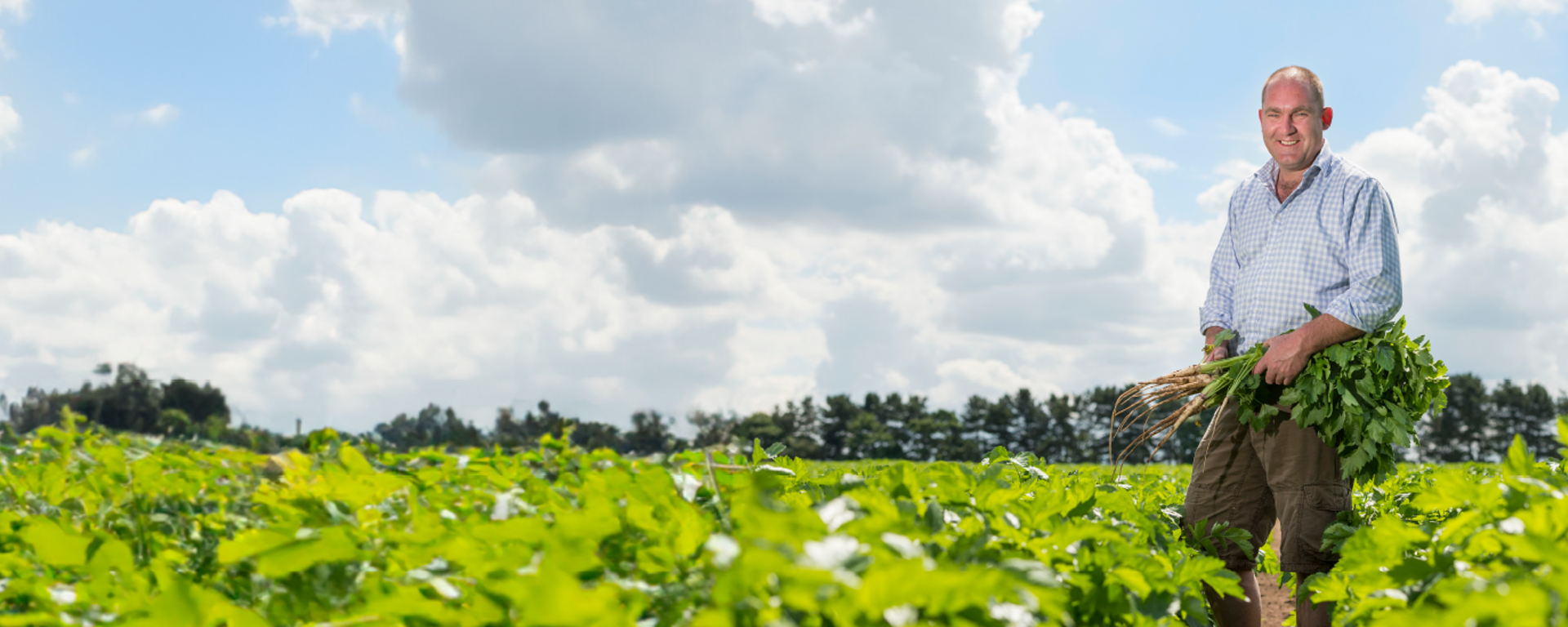 Growers Banner